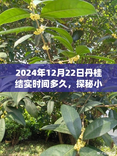 打张鸡儿 第2页
