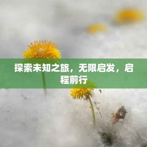 探索未知之旅,无限启发,启程前行