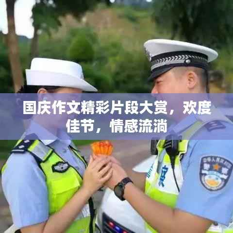 张弛不定 第3页
