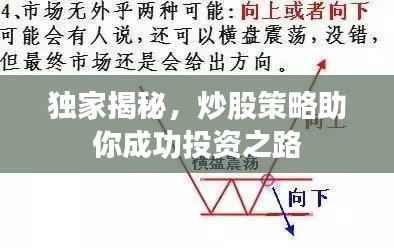 独家揭秘，炒股策略助你成功投资之路