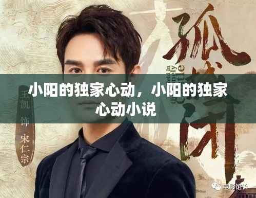 小阳的独家心动,小阳的独家心动小说