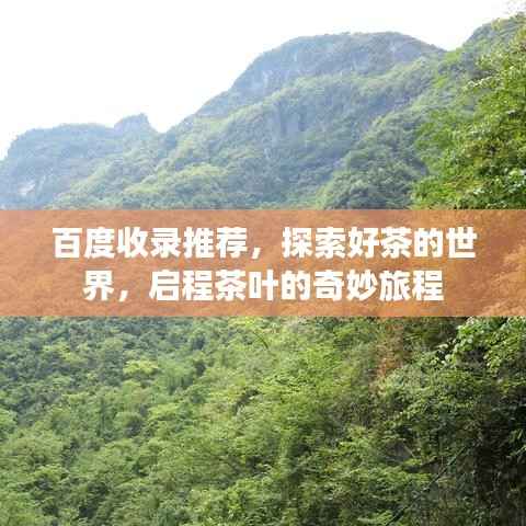 百度收录推荐,探索好茶的世界,启程茶叶的奇妙旅程