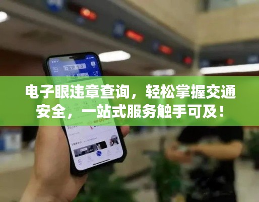 电子眼违章查询,轻松掌握交通安全,一站式服务触手可及!