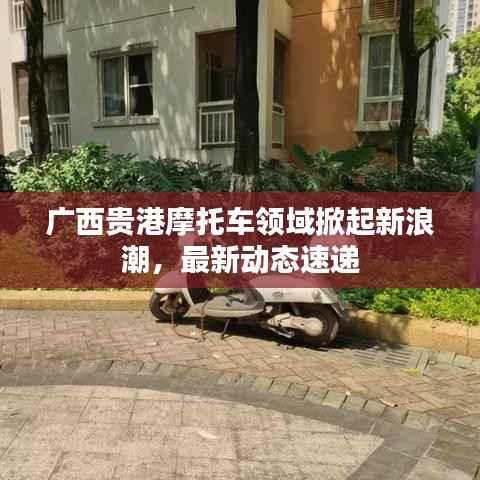 广西贵港摩托车领域掀起新浪潮，最新动态速递