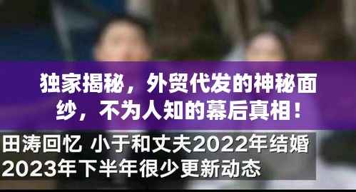 独家揭秘,外贸代发的神秘面纱,不为人知的幕后真相!