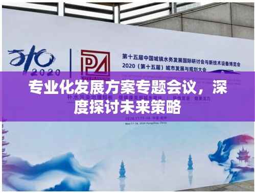 专业化发展方案专题会议,深度探讨未来策略