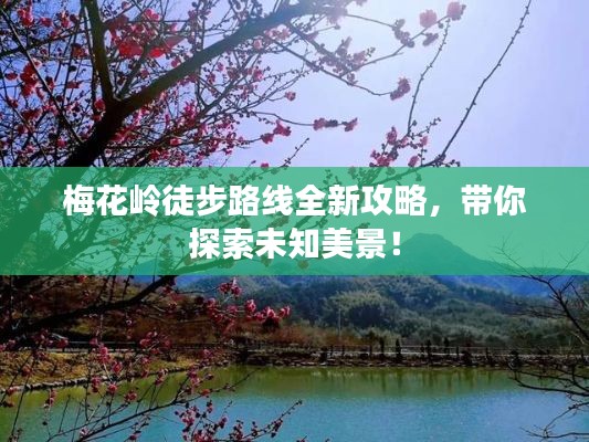 梅花岭徒步路线全新攻略，带你探索未知美景！