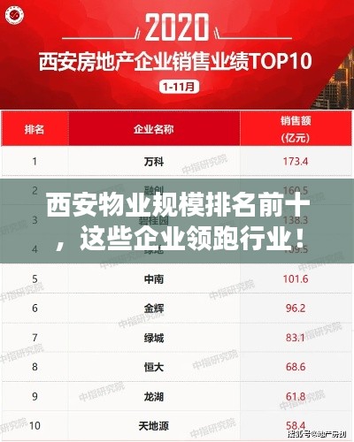 迷离马虎 第3页