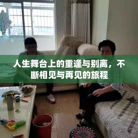 各就各位 第3页