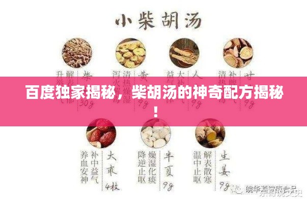 百度独家揭秘，柴胡汤的神奇配方揭秘！