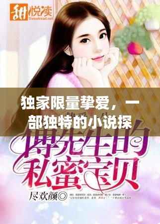 独家限量挚爱,一部独特的小说探秘之旅