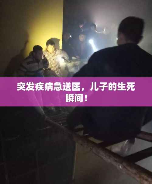 轻徙鸟举 第2页