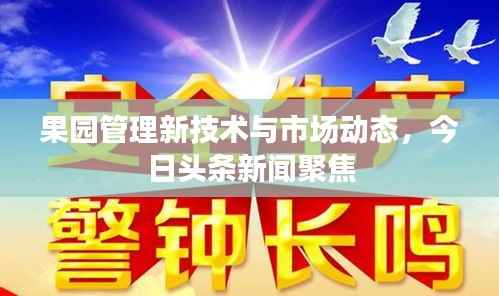 果园管理新技术与市场动态,今日头条新闻聚焦