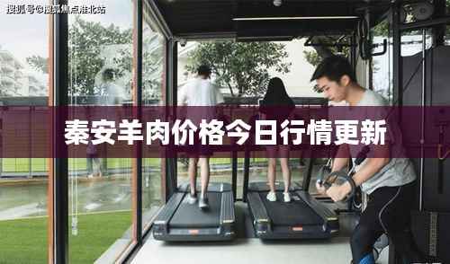 秦安羊肉价格今日行情更新