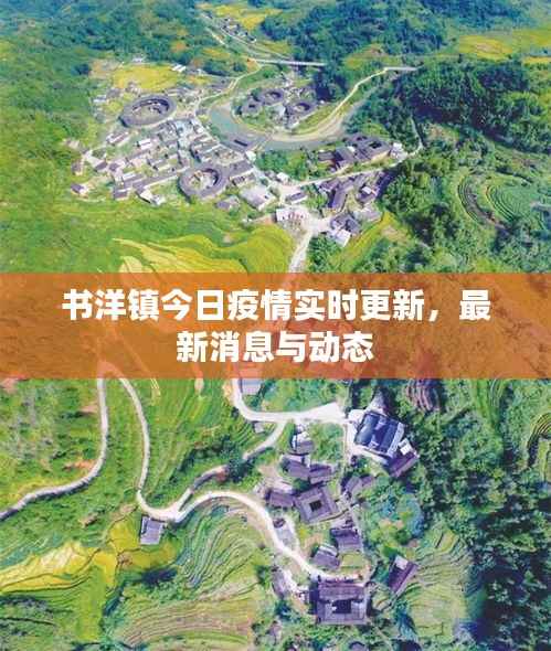 书洋镇今日疫情实时更新,最新消息与动态