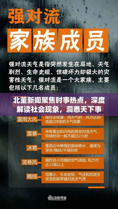 北董新闻聚焦时事热点,深度解读社会现象,洞悉天下事