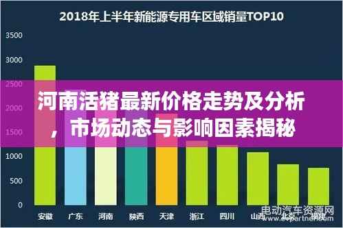 河南活猪最新价格走势及分析,市场动态与影响因素揭秘