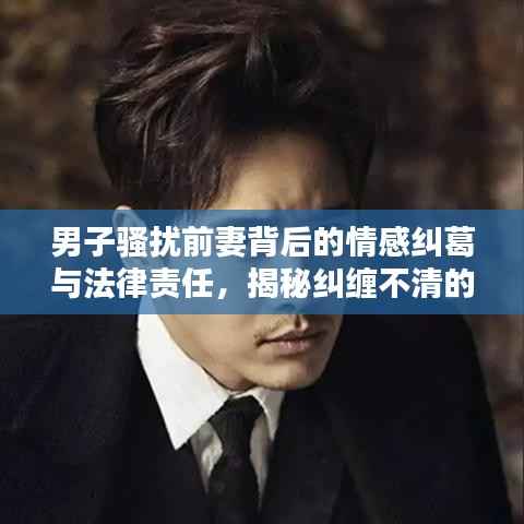 男子骚扰前妻背后的情感纠葛与法律责任,揭秘纠缠不清的法律红线