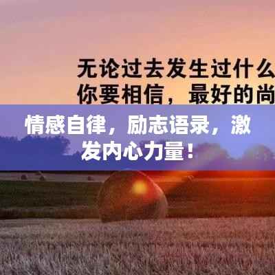 文质彬彬