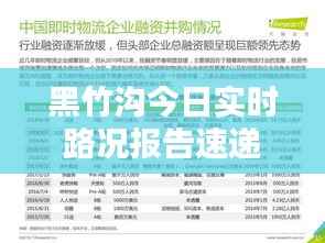 披肝沥胆 第2页