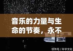 音乐的力量与生命的节奏,永不断的琴弦之魅力