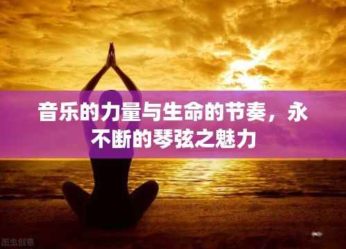 音乐的力量与生命的节奏,永不断的琴弦之魅力