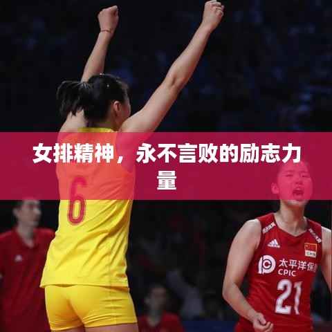 女排精神，永不言败的励志力量